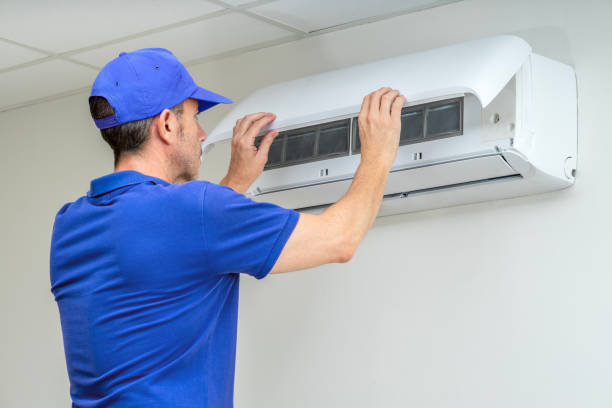 Best Professional Duct Cleaning Services  in La Plata, MO